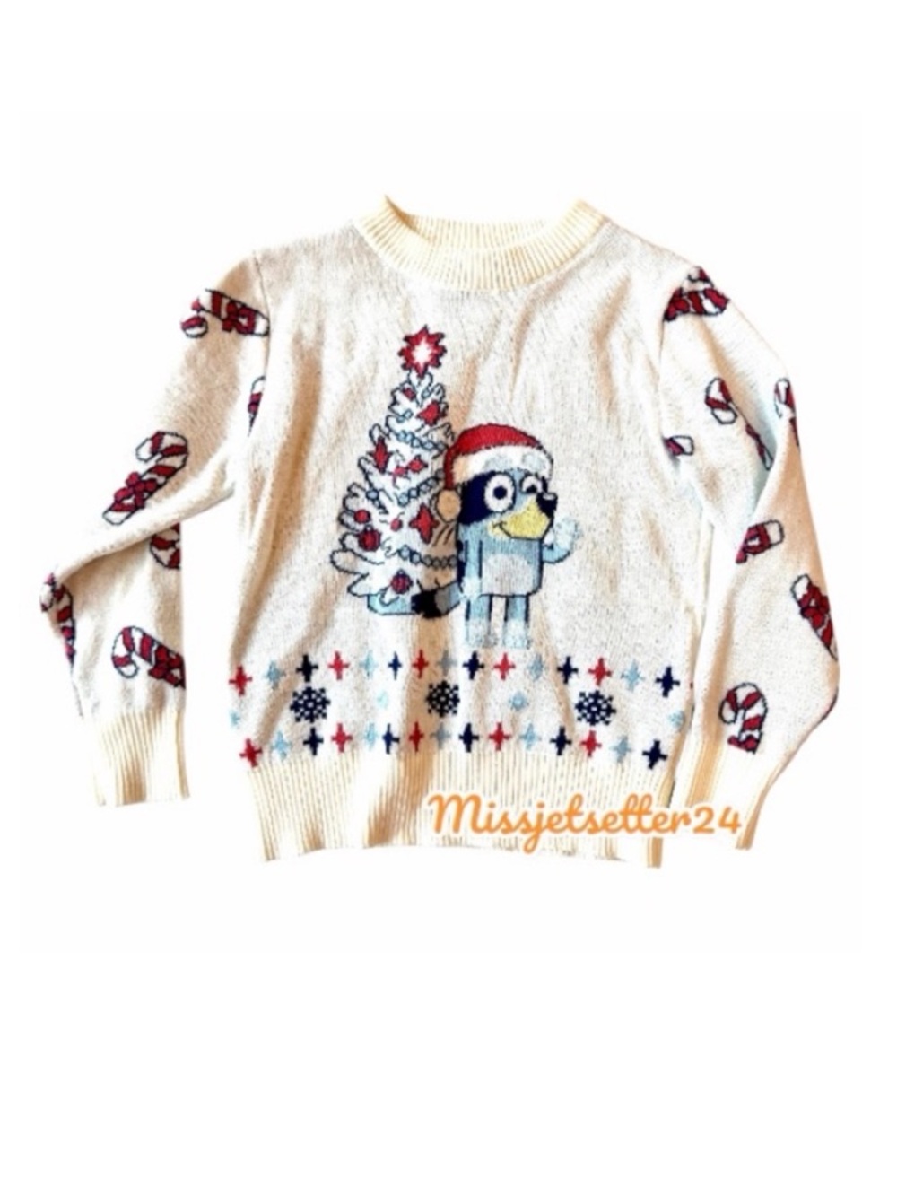 Bluey 2T Girls Boys Unisex Festive Christmas Holiday Sweater EUC